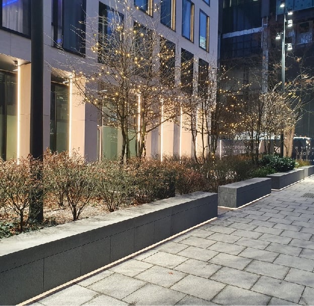 Podświetlone drzewa przy nowoczesnym budynku